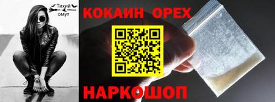 стаф Можга