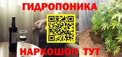 стаф Можга