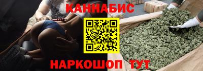 стаф Можга