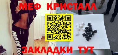 стаф Можга