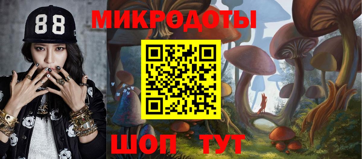 Псилоцибиновые грибы Psilocybine cubensis  Вход с VPN  Тамбов 
