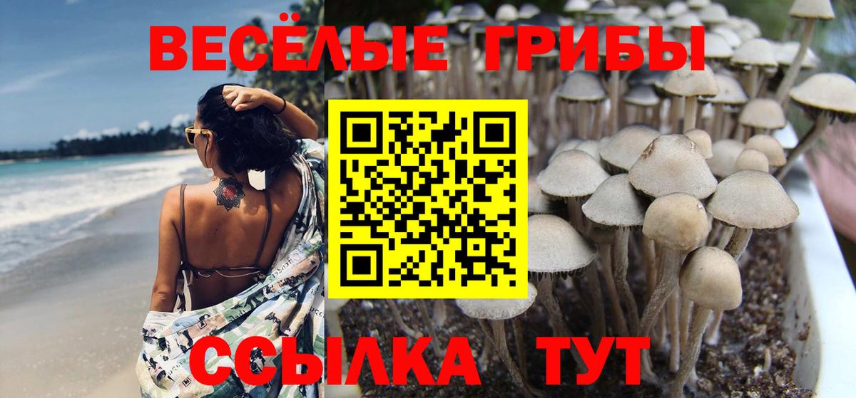 НБОМе Тамбов