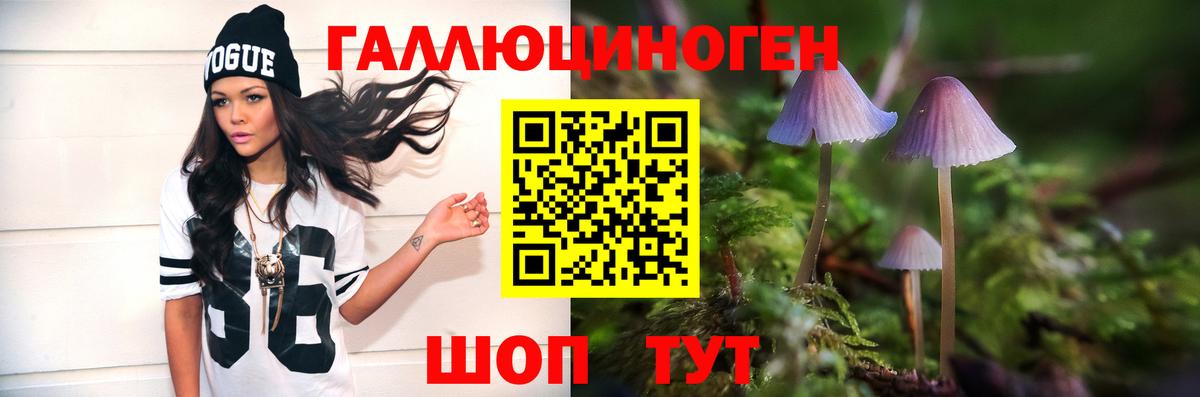 Псилоцибиновые грибы MAGIC MUSHROOMS Тамбов